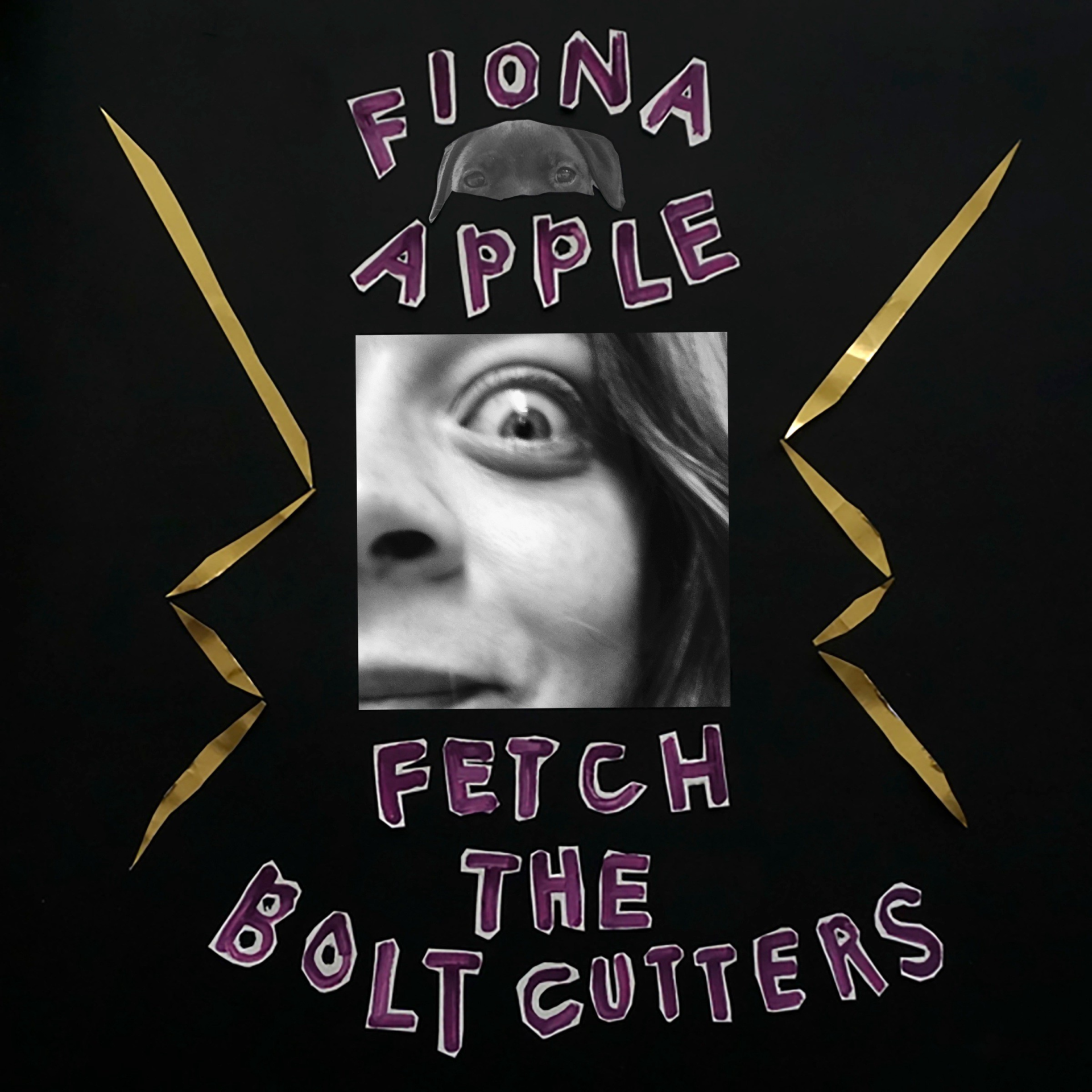 Fiona Apple – Fetch The Bolt Cutters – Monkeybuzz